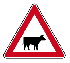 Verkehrszeichen 101-22 StVO, Viehtrieb, Aufstellung links