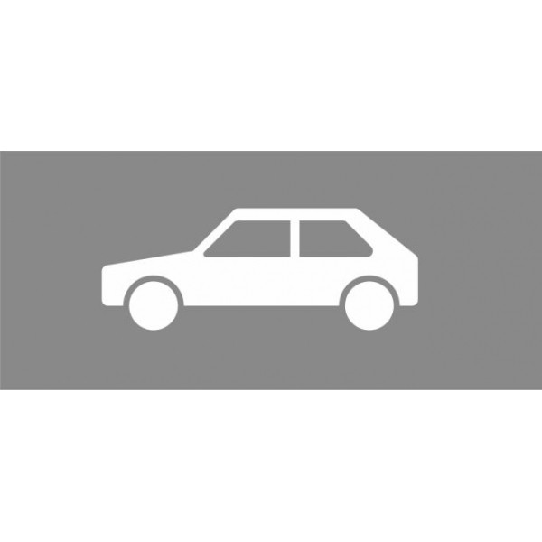 Fahrbahn-Dauermarkierung - Sonderzeichen PKW weiß