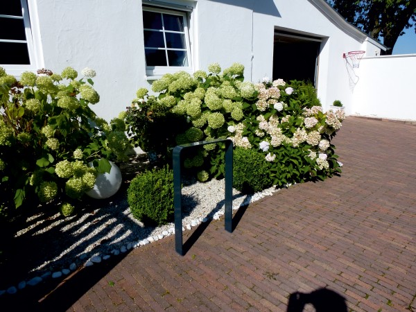 Anlehnbügel 80 x 12 mm, gebogene Ausführung, ohne Querholm